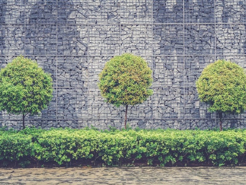 Stone wall edging along a tree-lined driveway