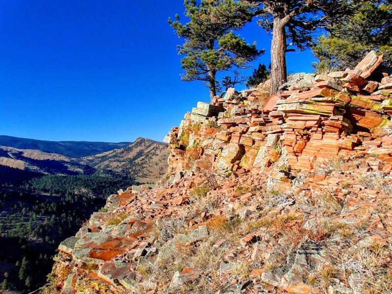 Natural rock terraces stepping up a slope with a tree